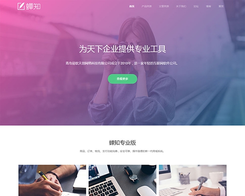 muban-7 精品WEB设计公司官网